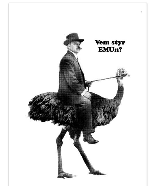 Författardagbok#4: Om att rida på&nbsp;strutsar