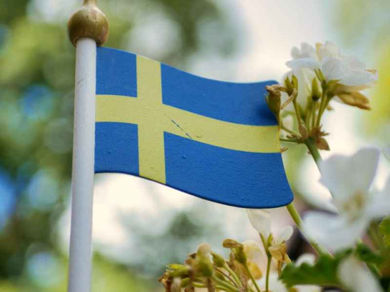 Tony Johansson: Det finns alternativ till Stegruds&nbsp;rasism